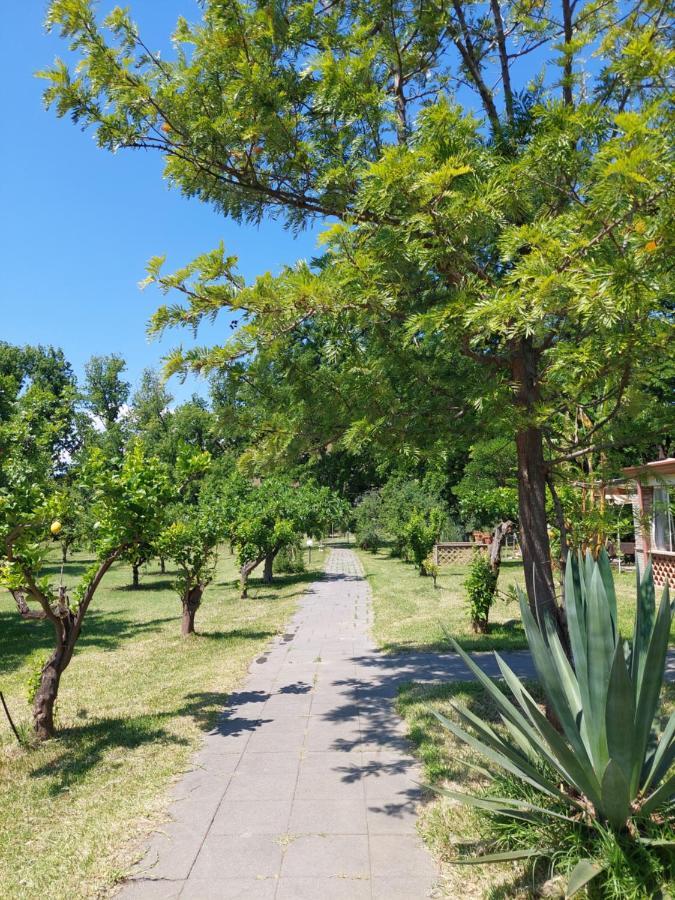 ترابيتيلو Villa Piersepp B&B المظهر الخارجي الصورة